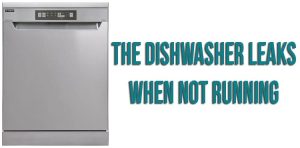 The dishwasher leaks when not running